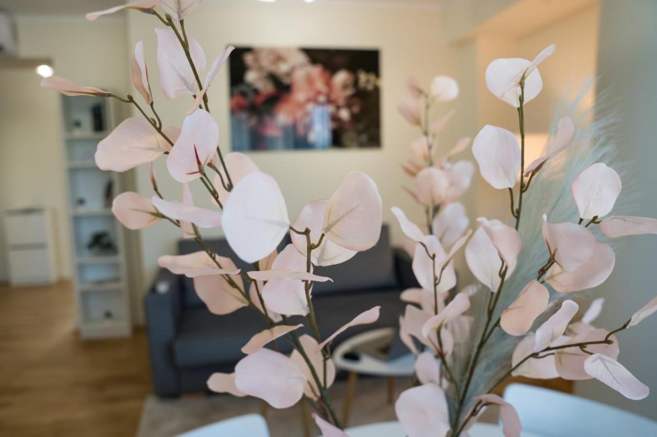 Azaleea Apartments 布加勒斯特 外观 照片