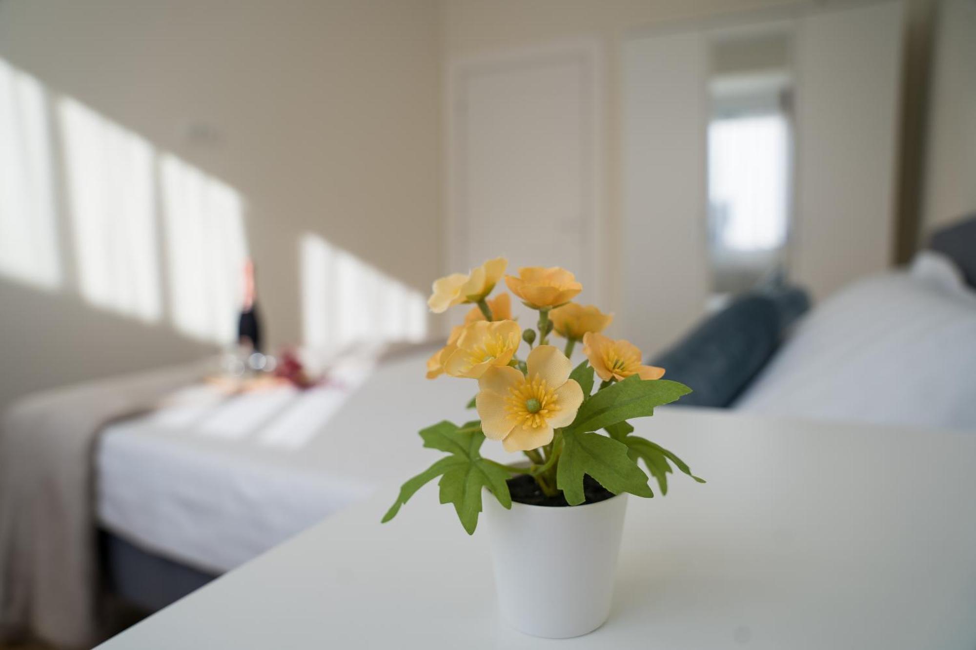 Azaleea Apartments 布加勒斯特 外观 照片
